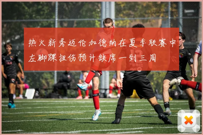 热火新秀迈伦加德纳在夏季联赛中左脚踝扭伤预计缺席一到三周