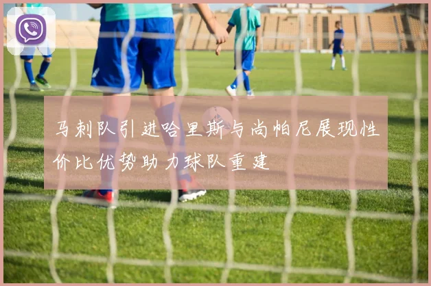 马刺队引进哈里斯与尚帕尼展现性价比优势助力球队重建